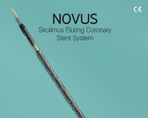Novus – DES - Nano Therapeutics Pvt. Ltd. - Heart Stent Manufacturing Company Surat, India