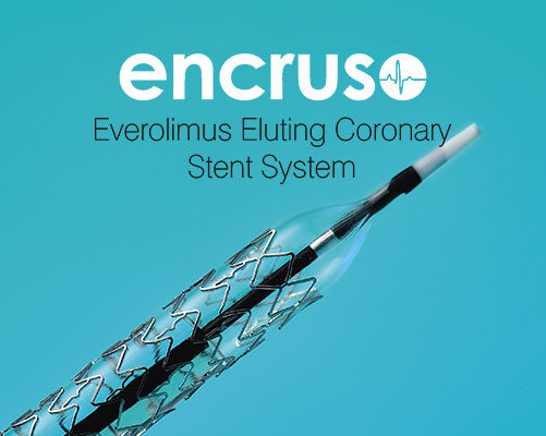 Encruso Drug Eluting Stent - Nano Therapeutics Pvt. Ltd. - Heart Stent Manufacturing Company Surat, India